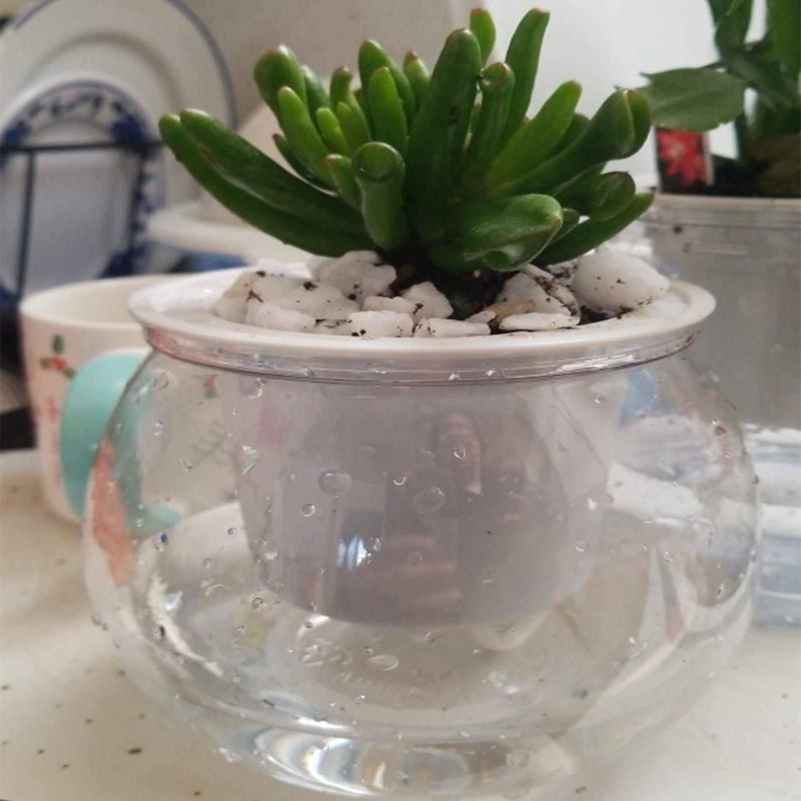 Aloe Vera Pot - Samonawadniająca się doniczka doniczki Mini doniczka