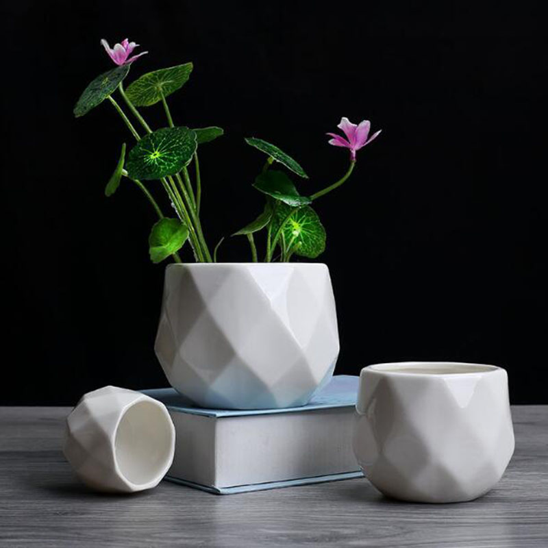 Aloe Vera Pot - Europejski styl prostoty Biała porcelanowa wielościanowa
