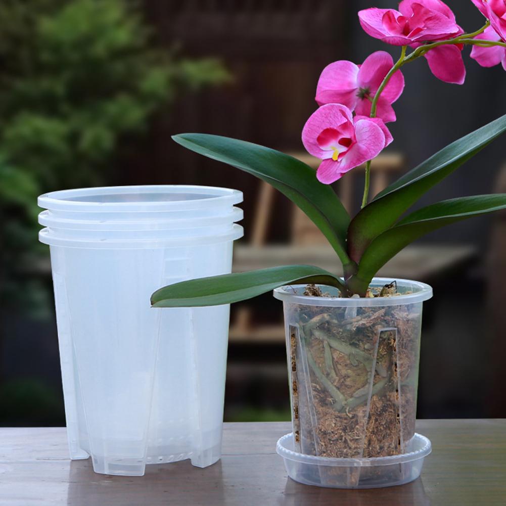 Aloe Vera Pot - 5 sztuk/zestaw Przezroczyste plastikowe doniczki na