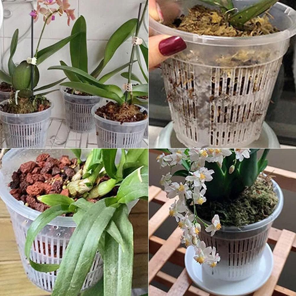 Doniczka siatkowa z kontrolą k – Aloe Vera Pot recenzja i cena