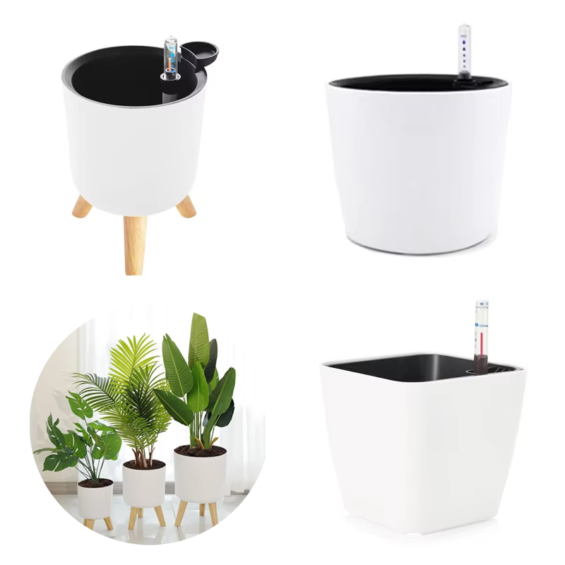 1 szt. Plastikowa doniczka do  – Aloe Vera Pot recenzja i cena