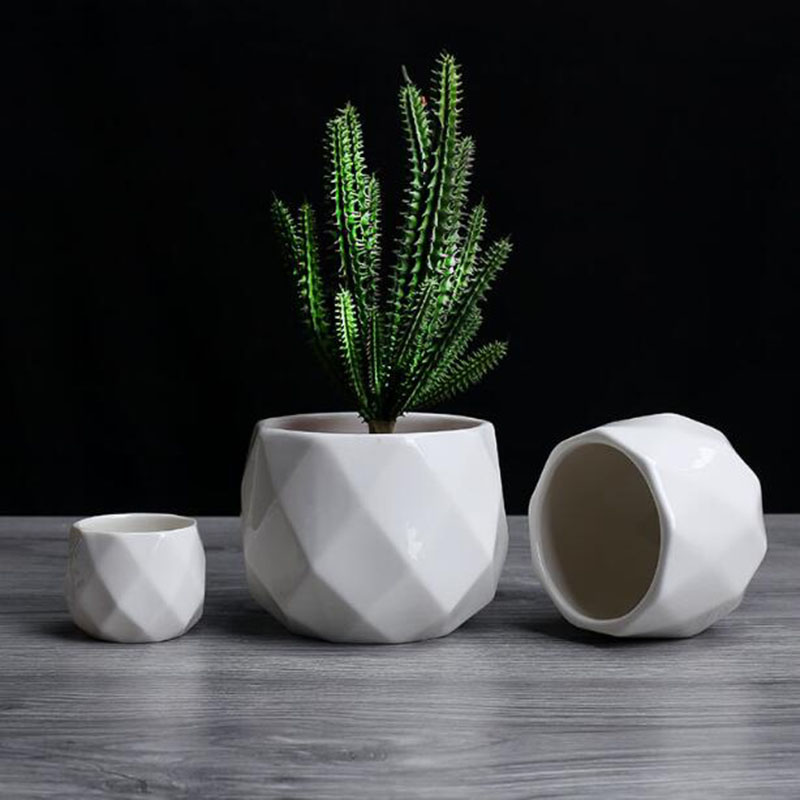 Europejski styl prostoty Biała – Aloe Vera Pot recenzja i cena