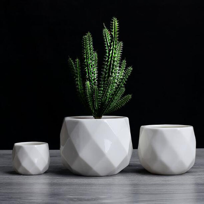 Europejski styl prostoty Biała – Aloe Vera Pot recenzja i cena