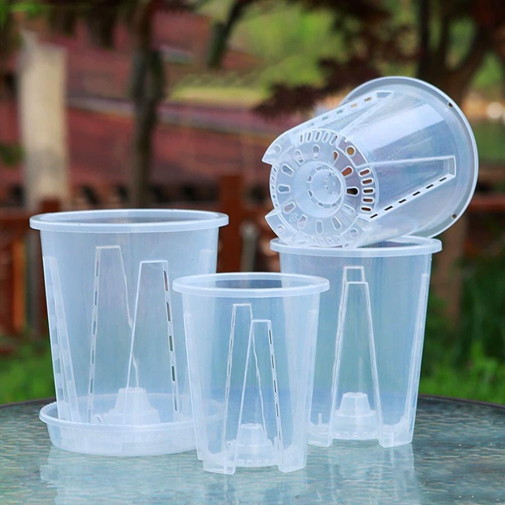 5 sztuk/zestaw Przezroczyste p – Aloe Vera Pot recenzja i cena